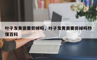叶子发黄需要剪掉吗，叶子发黄需要剪掉吗秒懂百科