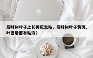 发财树叶子上长黄斑发粘，发财树叶子黄斑,叶面后面有粘液？