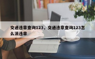 交通违章查询123，交通违章查询123怎么消违章