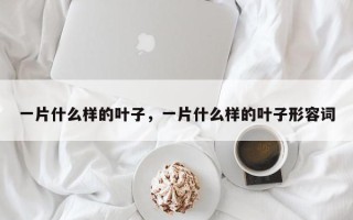 一片什么样的叶子，一片什么样的叶子形容词