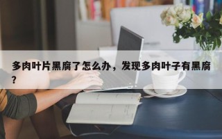 多肉叶片黑腐了怎么办，发现多肉叶子有黑腐？