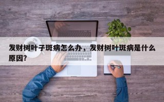 发财树叶子斑病怎么办，发财树叶斑病是什么原因？