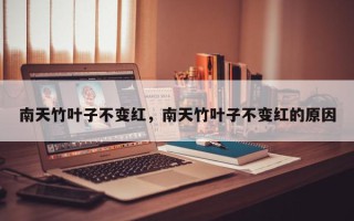 南天竹叶子不变红，南天竹叶子不变红的原因