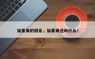仙客来的别名，仙客来还叫什么！