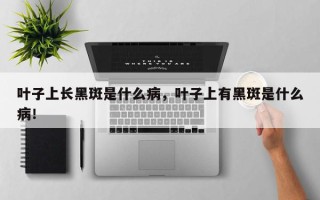叶子上长黑斑是什么病，叶子上有黑斑是什么病！