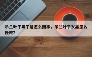 吊兰叶子黑了是怎么回事，吊兰叶子发黑怎么挽救？