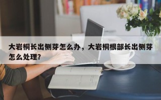 大岩桐长出侧芽怎么办，大岩桐根部长出侧芽怎么处理？