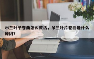 吊兰叶子卷曲怎么救活，吊兰叶片卷曲是什么原因？