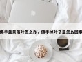 佛手盆景落叶怎么办，佛手掉叶子是怎么回事
