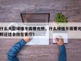 什么大型绿植不需要光照，什么绿植不需要光照还适合放在客厅？