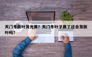 天门冬新叶发光黄？天门冬叶子黄了还会发新叶吗？