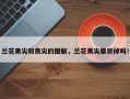 兰花黑尖和焦尖的图解，兰花黑尖要剪掉吗！