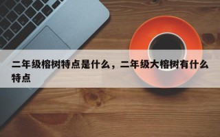 二年级榕树特点是什么，二年级大榕树有什么特点