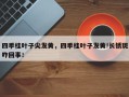 四季桂叶子尖发黄，四季桂叶子发黄!长锈斑咋回事！