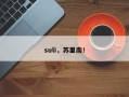 suli，苏里南！