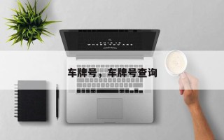 车牌号，车牌号查询