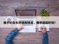 佛手的生长环境和特点，佛手适应环境？