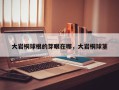 大岩桐球根的芽眼在哪，大岩桐球茎