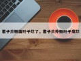 君子兰侧面叶子烂了，君子兰外侧叶子腐烂