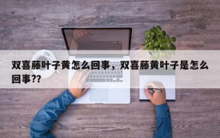 双喜藤叶子黄怎么回事，双喜藤黄叶子是怎么回事?？