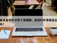 夏天昙花叶子软了发褶皱，昙花叶片发蔫怎么办？