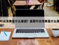 叶尖发黄是什么原因？韭菜叶尖发黄是什么原因？