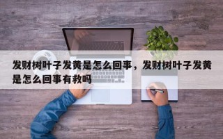 发财树叶子发黄是怎么回事，发财树叶子发黄是怎么回事有救吗