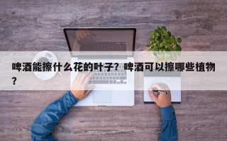 啤酒能擦什么花的叶子？啤酒可以擦哪些植物？