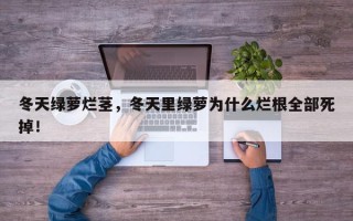 冬天绿萝烂茎，冬天里绿萝为什么烂根全部死掉！