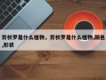 剪秋罗是什么植物，剪秋罗是什么植物,颜色,形状
