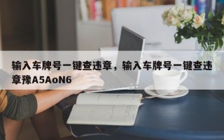 输入车牌号一键查违章，输入车牌号一键查违章豫A5AoN6