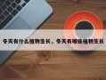 冬天有什么植物生长，冬天有哪些植物生长