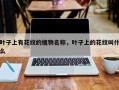 叶子上有花纹的植物名称，叶子上的花纹叫什么
