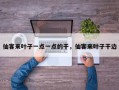 仙客来叶子一点一点的干，仙客来叶子干边