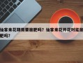 仙客来花期需要施肥吗？仙客来花开花时能施肥吗？