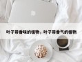 叶子带香味的植物，叶子带香气的植物