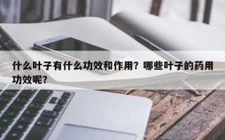 什么叶子有什么功效和作用？哪些叶子的药用功效呢？