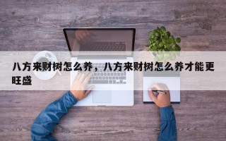 八方来财树怎么养，八方来财树怎么养才能更旺盛