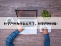 叶子户外为什么火不了，叶子户外叶嫂！