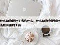 什么动物把叶子当作什么，什么动物会把树叶当成有用的工具
