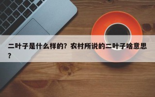 二叶子是什么样的？农村所说的二叶子啥意思？