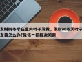 发财树冬季在室内叶子发黄，发财树冬天叶子发黄怎么办?教你一招解决问题