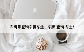 车牌号查询车辆车主，车牌 查询 车主！