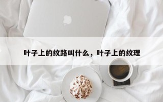 叶子上的纹路叫什么，叶子上的纹理