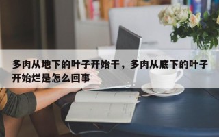 多肉从地下的叶子开始干，多肉从底下的叶子开始烂是怎么回事