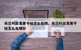 吊兰叶尖发黑干枯怎么处理，吊兰叶尖发黑干枯怎么处理好