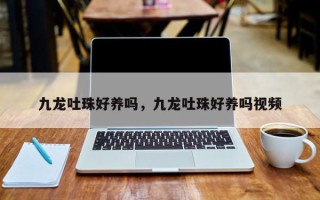 九龙吐珠好养吗，九龙吐珠好养吗视频