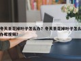 冬天茶花掉叶子怎么办？冬天茶花掉叶子怎么办呢视频？