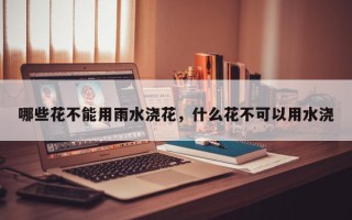 哪些花不能用雨水浇花，什么花不可以用水浇