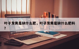 叶子发黄是缺什么肥，叶子发黄是缺什么肥料？